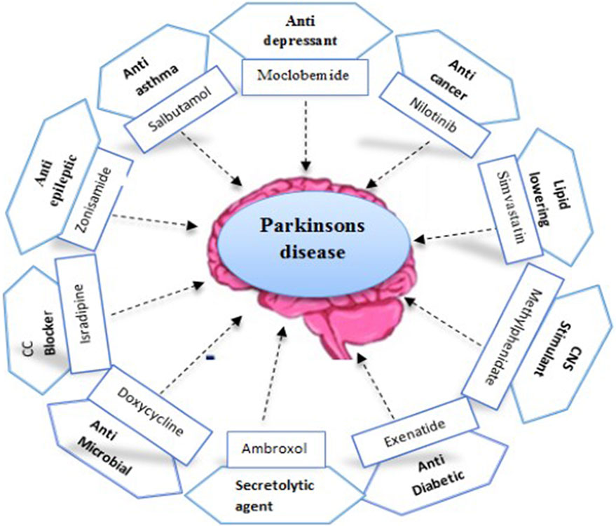 Advances In Parkinsons Disease Research & Treatment Options